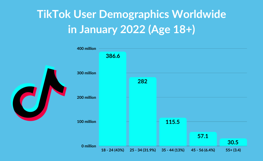tiktok_user_demographics_worldwide_in_january_2022_by_age.png